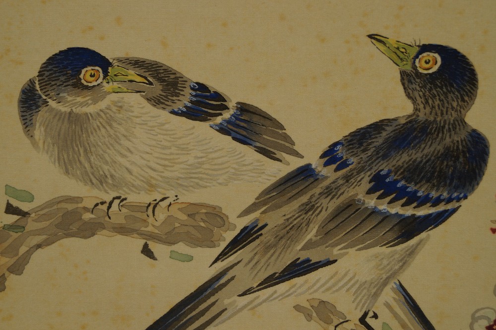 Sakura Pair of Birds Close-Up 2