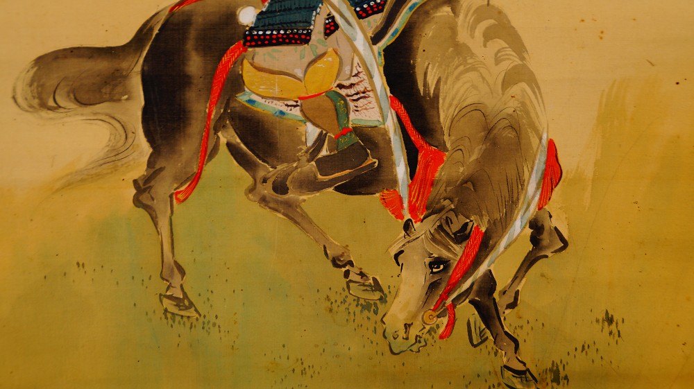 Close-up of the legs and hoof of the rearing horse with red bridle