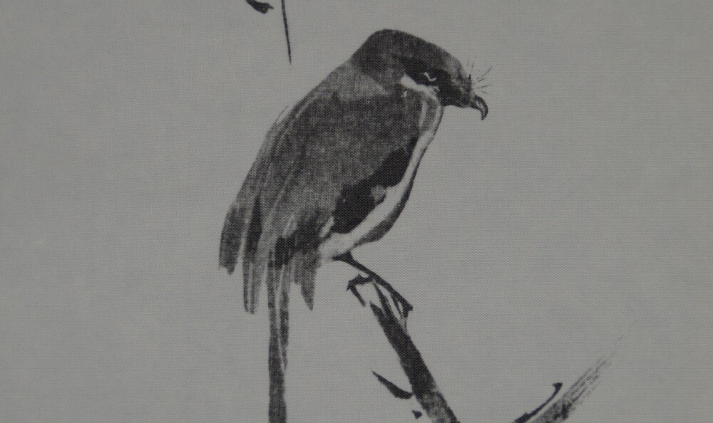 Shrike on a withered branch – ink motif after Miyamoto Musashi as a print on a hanging scroll.