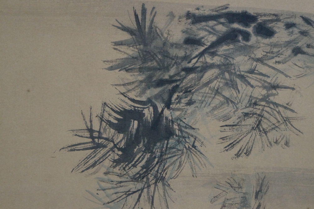 The Old Pine Pine Close-Up 3