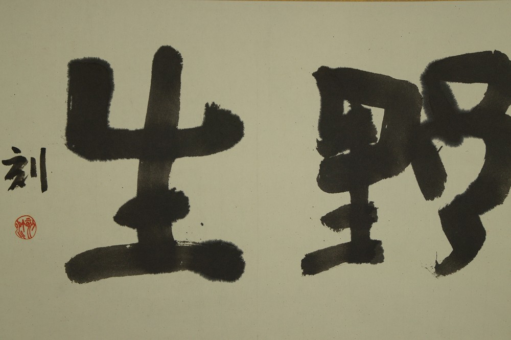Kalligrafie Wild Rollbild Kakejiku Kakemono Gesamtmotiv ohne Rahmung