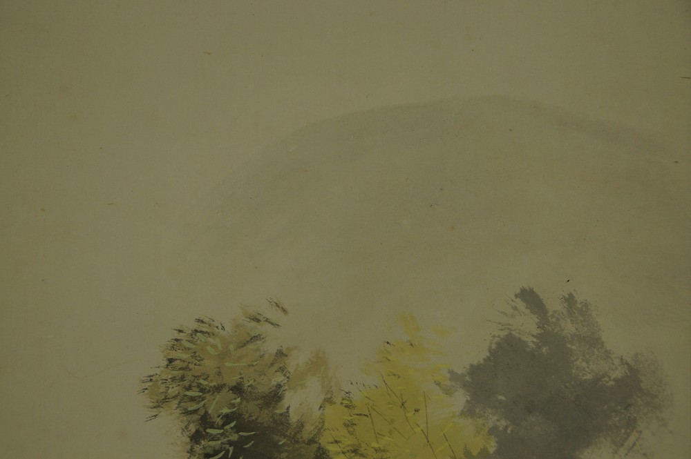 Nahaufnahme der diesigen Berglandschaft im Hintergrund ueber den Baumgruppen