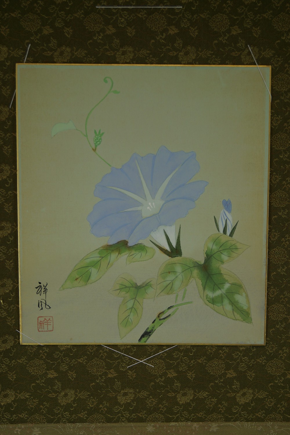 Shikishi - Blume