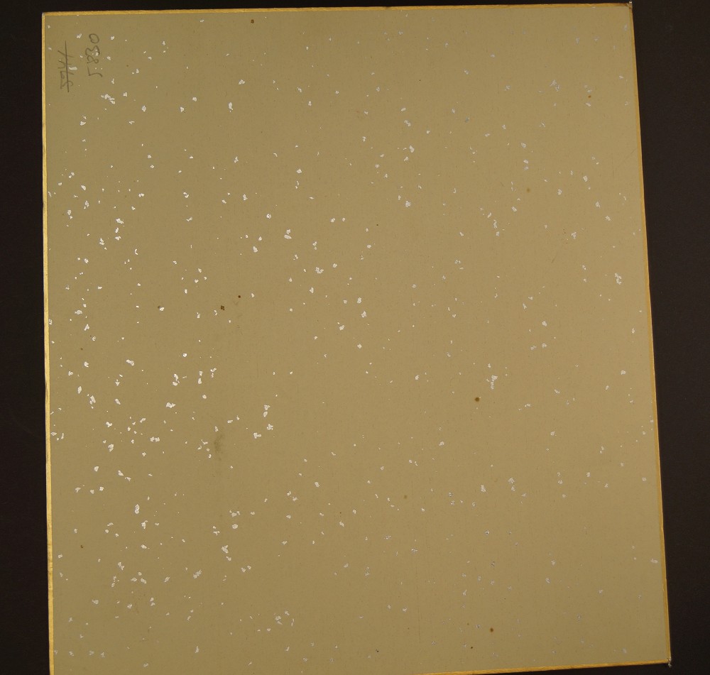Shikishi Spatz und Chrysanthemen Rueckansicht