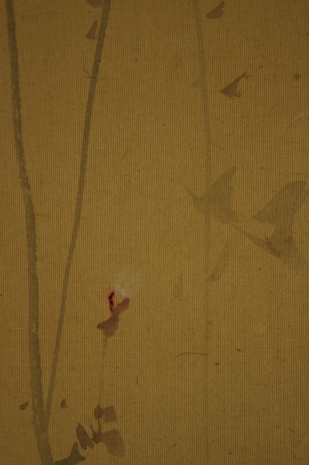 Three Sparrows Background Close-Up