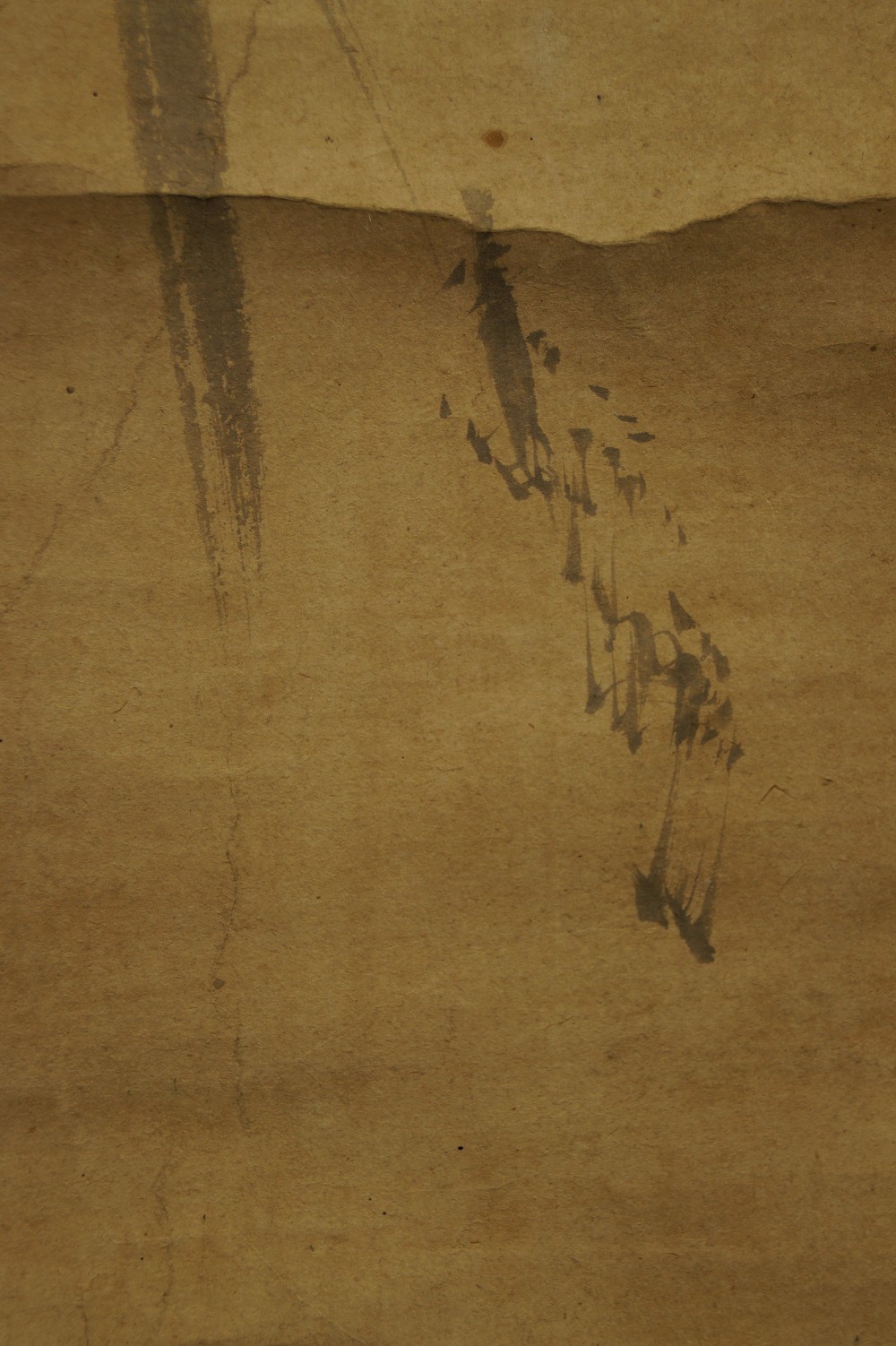 Bird Certificate of Authenticity Close-Up 1