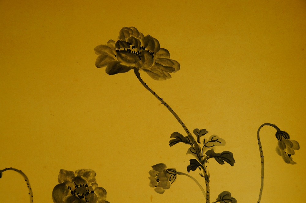 Close-up of the blossom sitting on curved stems with leaves