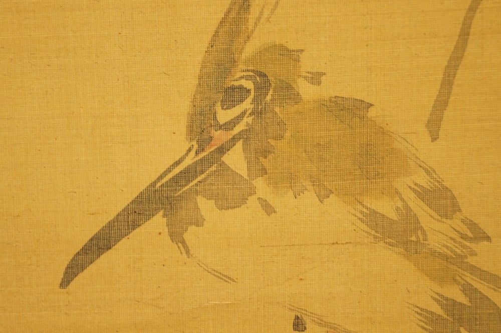 Extreme Nahaufnahme des Eisvogelkopfes mit langem Schnabel Eisvogel-Motiv Nahaufnahme