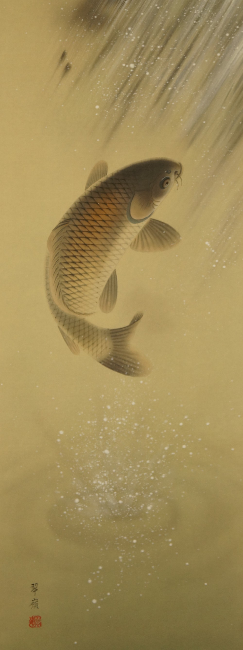 Koi at Waterfall Hanging Scroll Full Motif Without Mounting