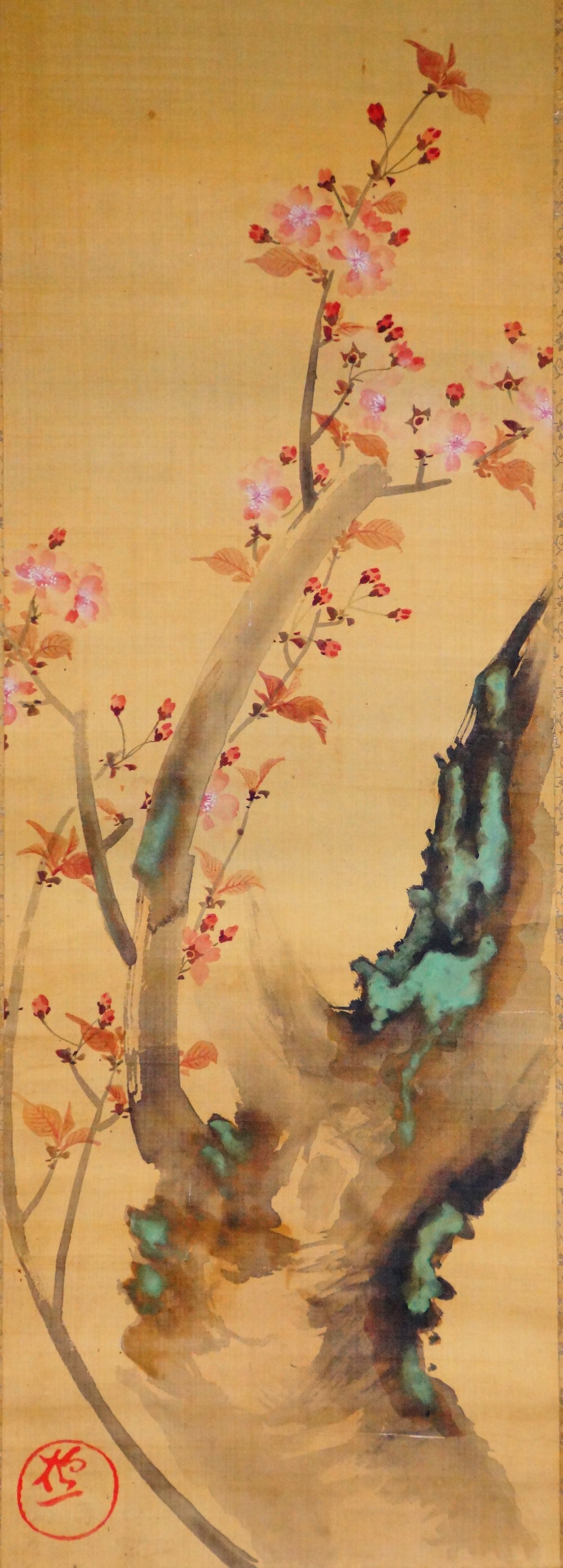Blossoming cherry branches by the rock kakemono by Sakai Hoitsu full motif without mounting