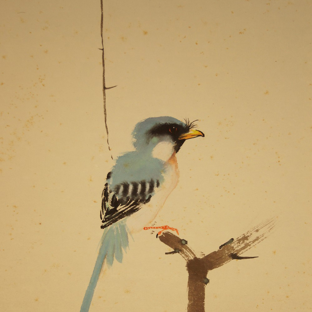 Kingfisher on a branch motif close-up preview