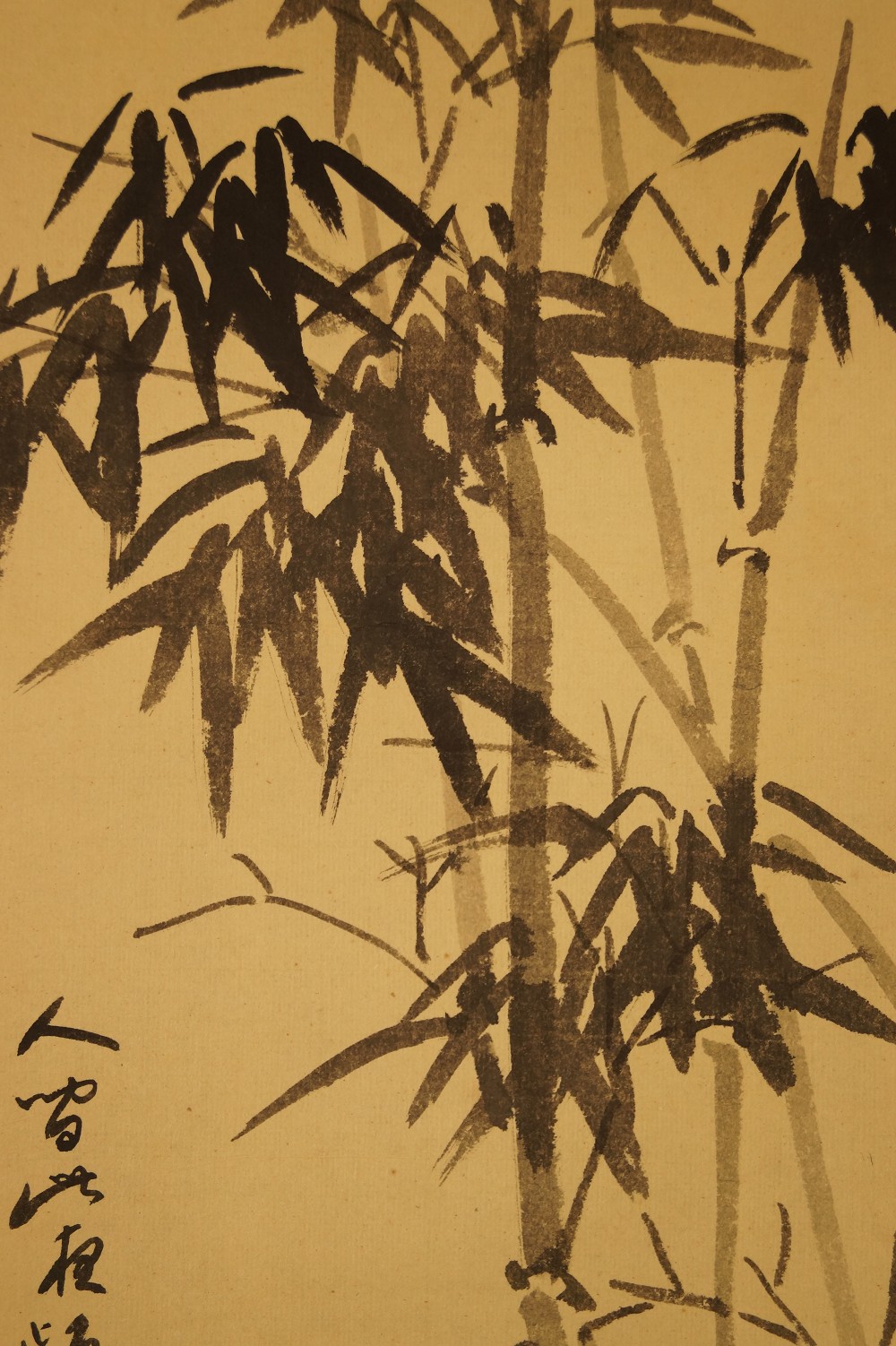 Bamboo bamboo close-up 1