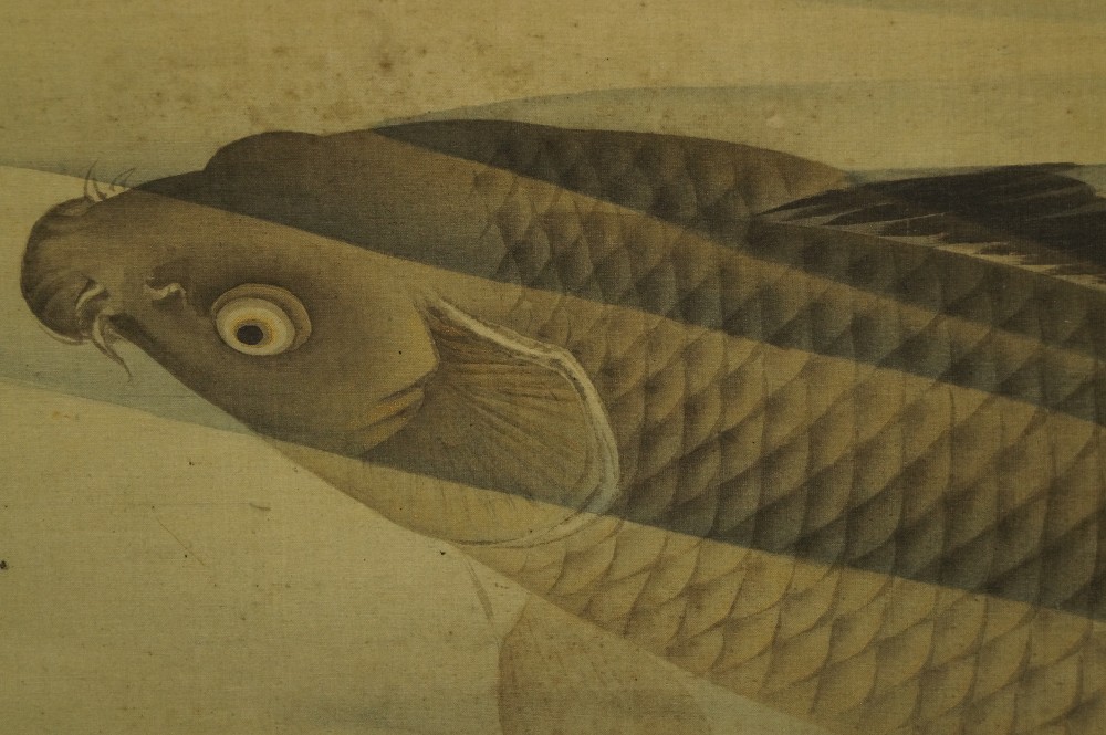 Carp in the Water Motif Close-Up