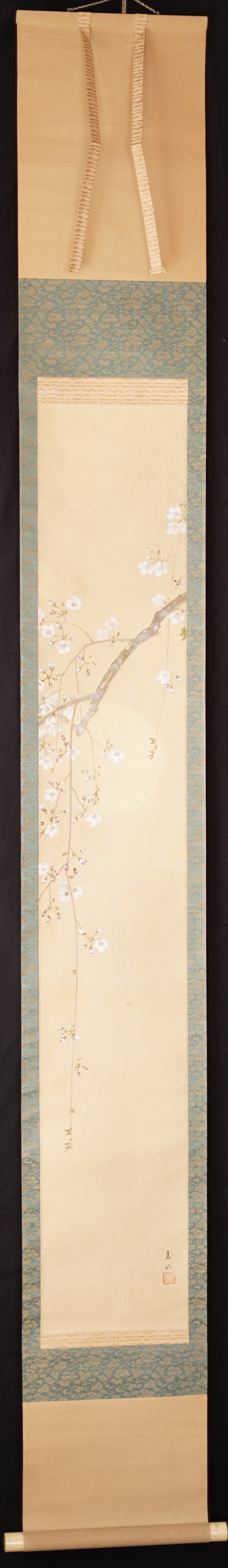 Kakemono Hanging Cherry Blossoms by Hashimoto Gyoin in full mounted view