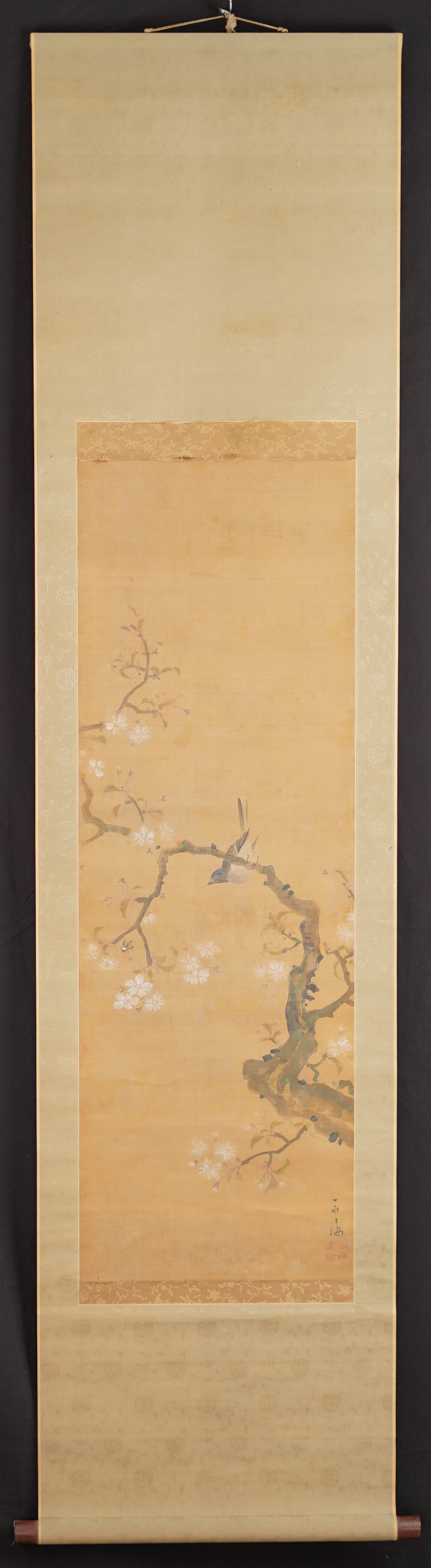 Hanging scroll songbird on blooming cherry branch by Satake Eikai in full mounted view