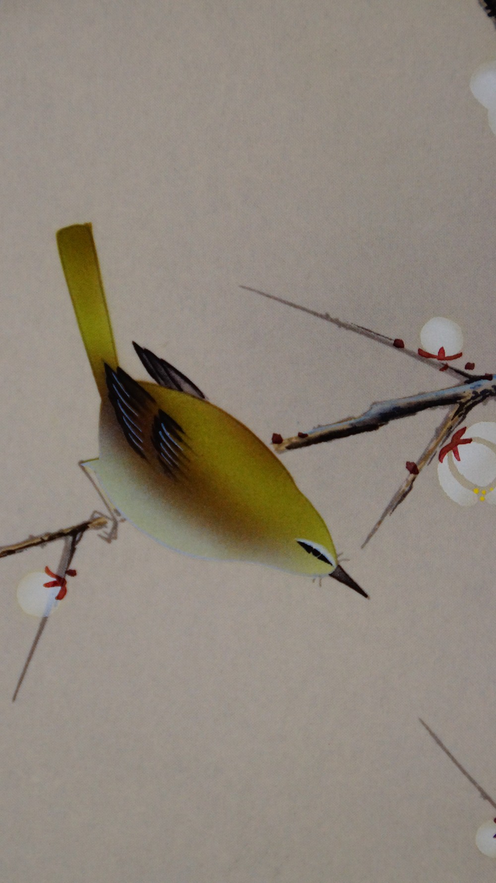 Spring branch with bird hanging scroll by Arii Shoun bird motif close-up 2