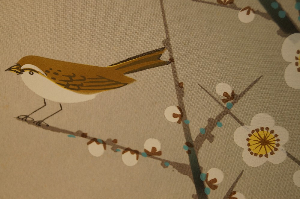 Nightingale on sakura branch nightingale close-up 2