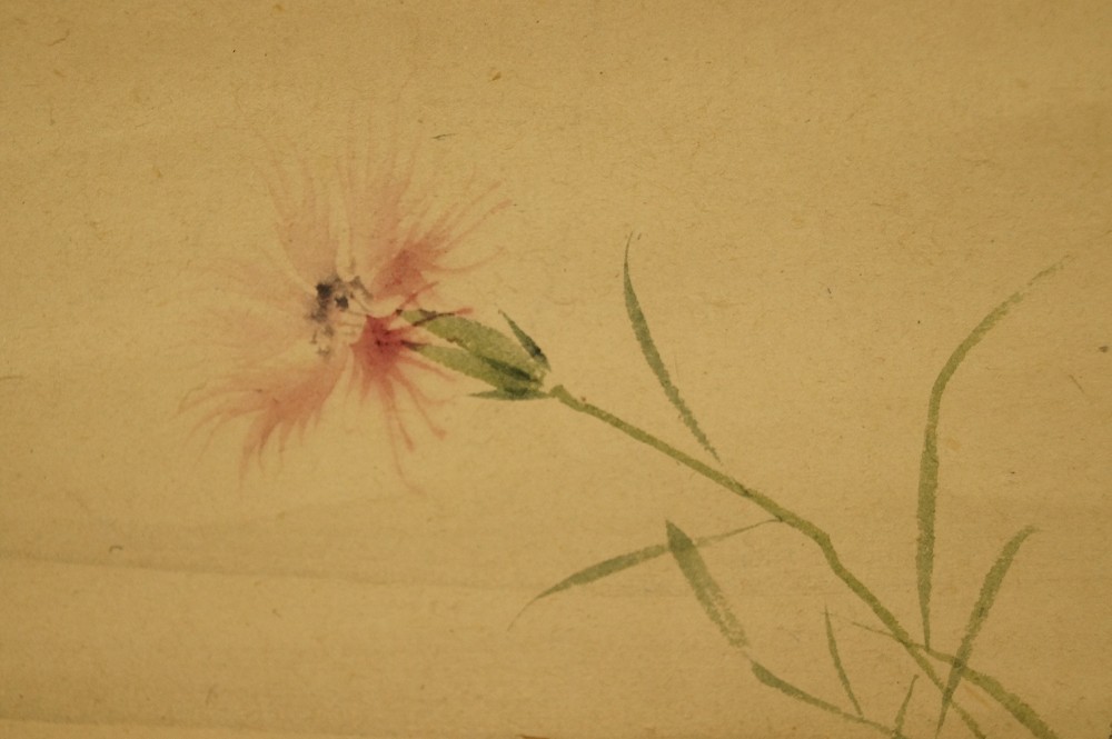 Single pink carnation blossom with bud blossom motif close-up 3
