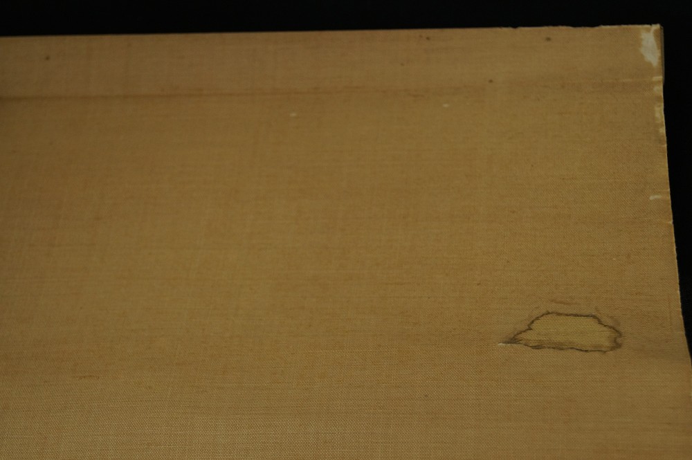 Carp in water scroll detail