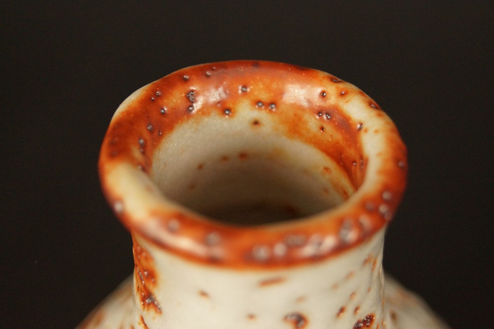 Spout and neck of the sake bottle Neck View Close-Up