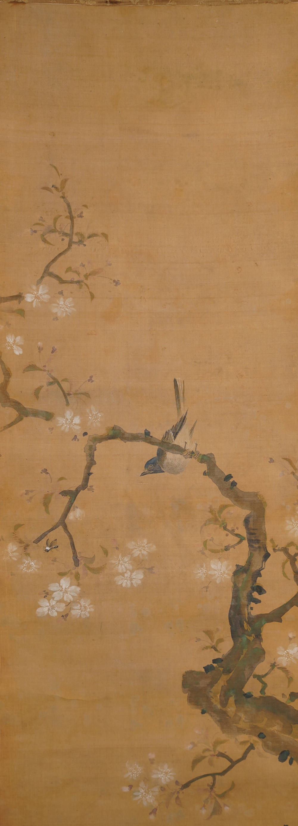 Full motif of the hanging scroll Songbird on Blooming Cherry Branch with bird and cherry blossoms, without mounting