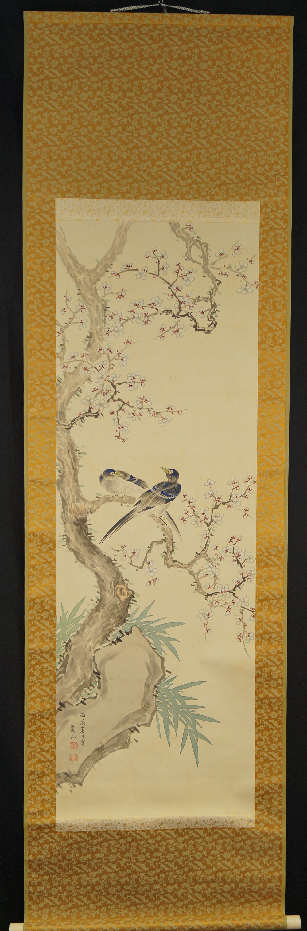Sakura full view hanging scroll