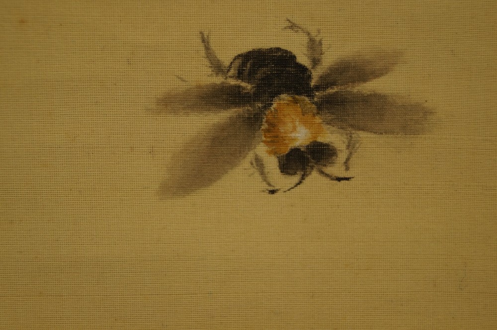 Bee by Syunsui Kawabata Bee Close-Up