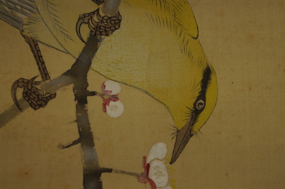 Bird and Plum Blossoms by Hiroshi Matsuda Bird Motif Close-Up