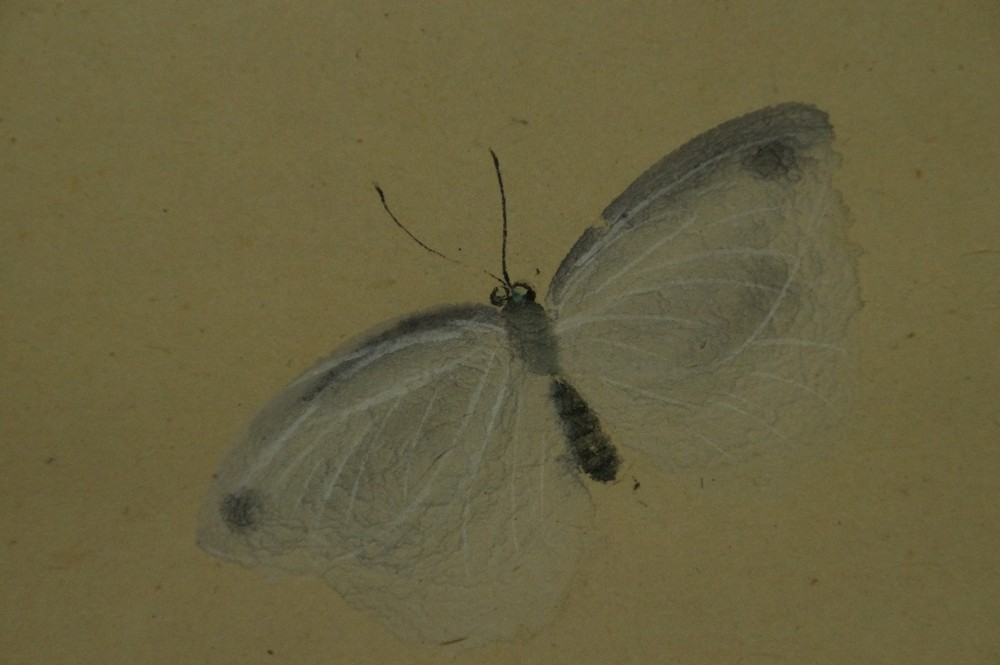 Two Butterflies by Gyokusha Haruki Butterfly Motif Close-Up