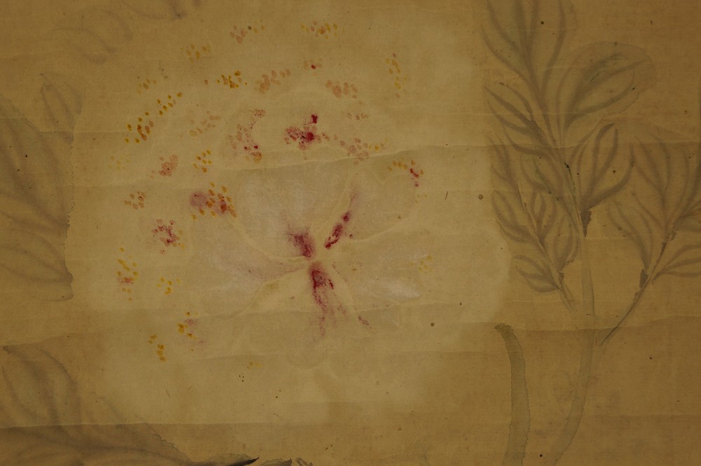 Pfingstrose mit Kalligraphie Pfingstrosen-Motiv Nahaufnahme