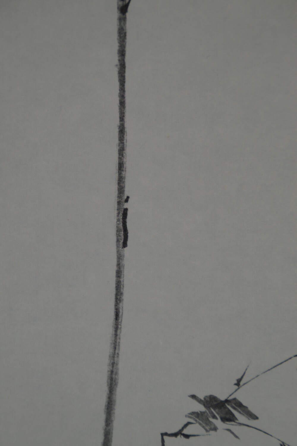 Close-Up of the Slender Reed Stalk with Grain Ears in the Shrike Scroll of the Triptych After Miyamoto Musashi