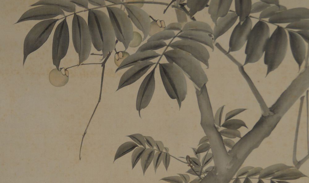 Kakemono by Takebe Hakuhō: bird in the branches of a fruit tree.