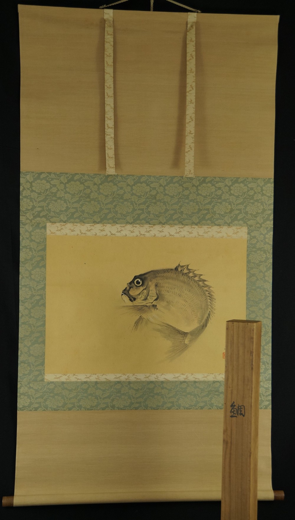 Golden Sea Bream by Ichigaku Hatano Full View of Hanging Scroll