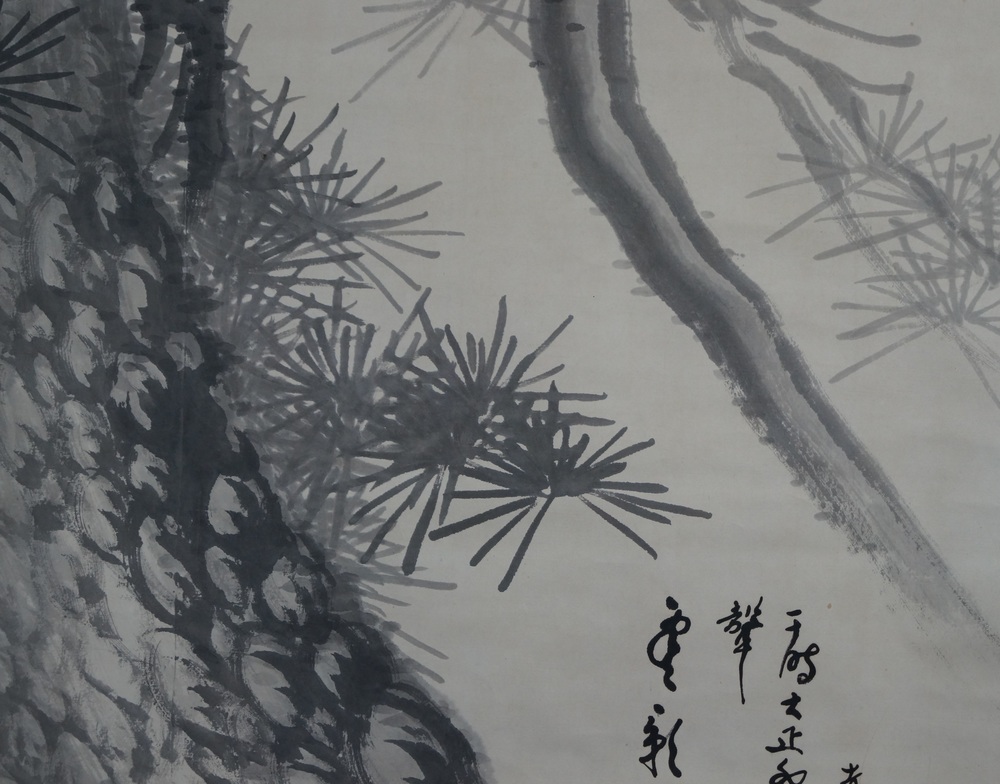 The old pine pine close-up 2
