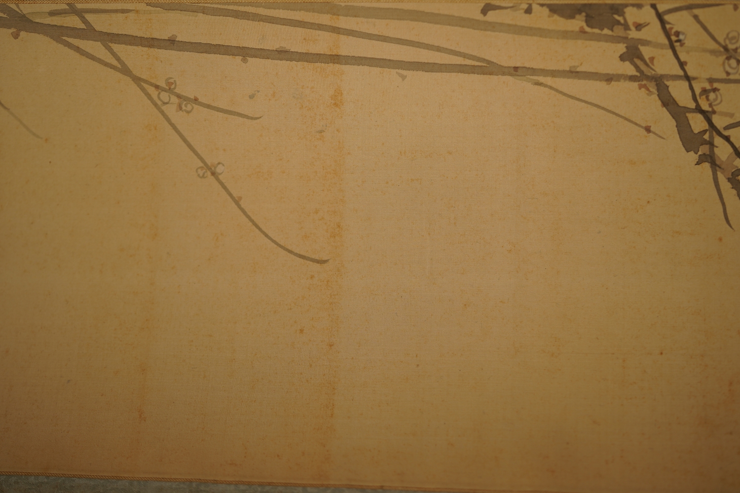 Close-up of the plum branches with small blossoms in the kakemono songbird on blooming plum tree