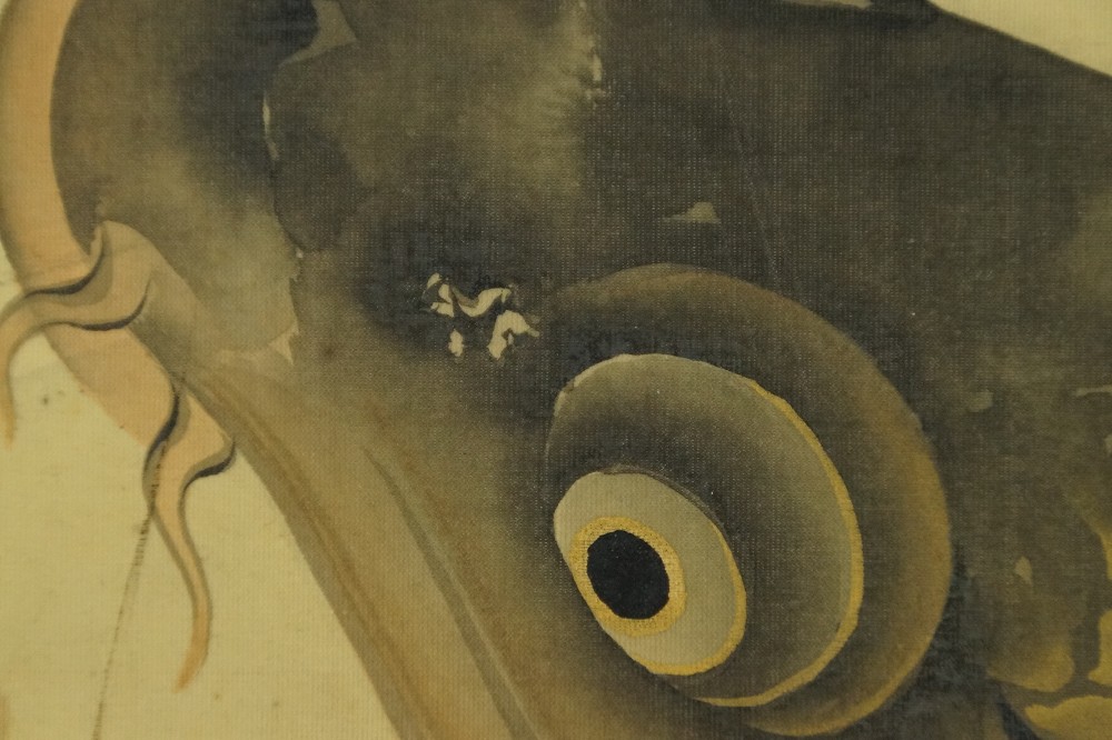 Extreme close-up of the wide-open eye of the carp