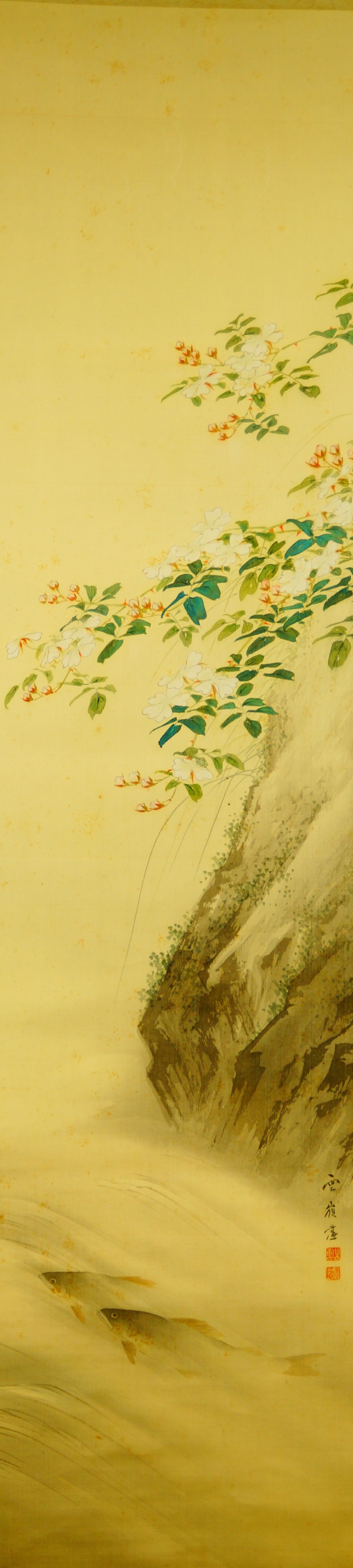Two Trout in Water Hanging Scroll by Akamatsu Unrei Full Motif Without Mounting