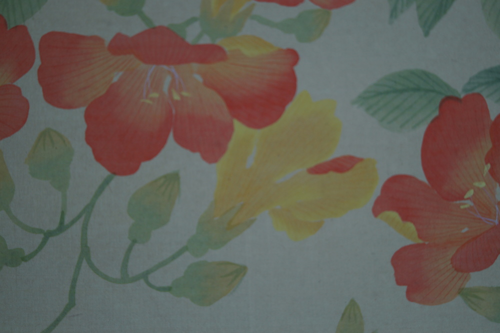 Flowers blossom close-up 4