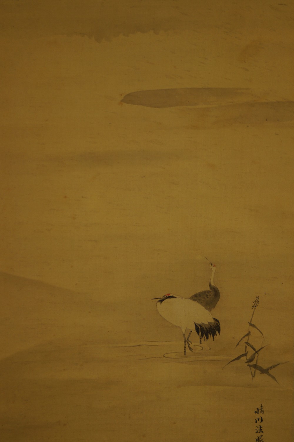 Japanisches Rollbild Fuji und Kraniche von Kano Yoshinobu Kraniche Motiv Nahaufnahme 1
