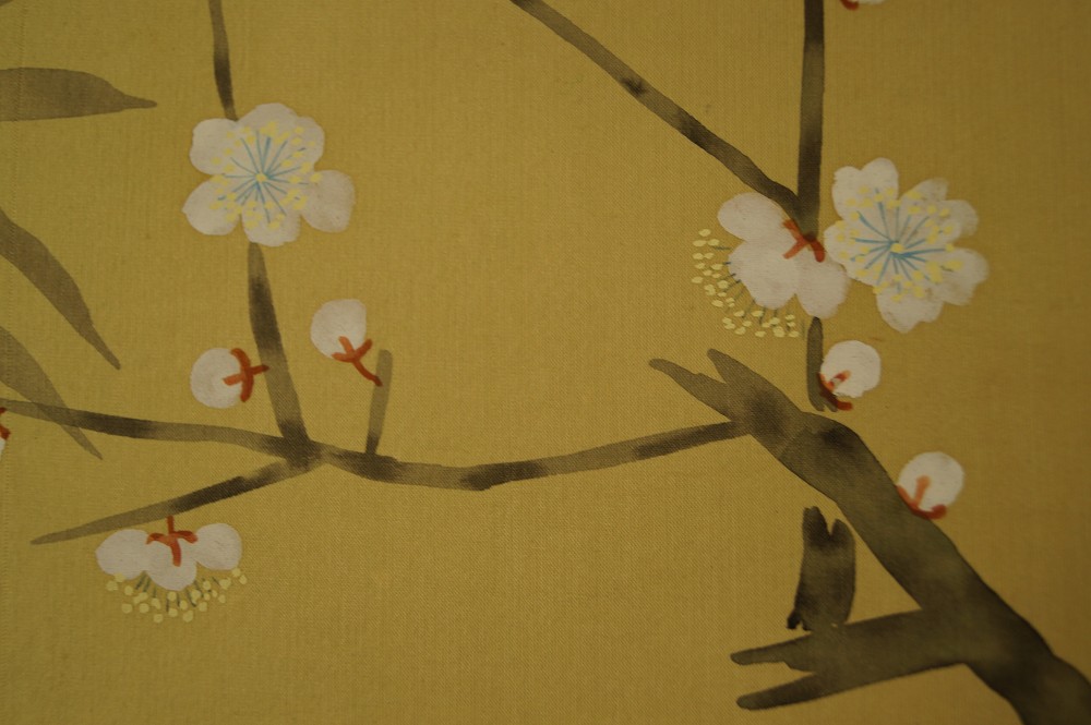 Flowers Plum Blossoms Close-up