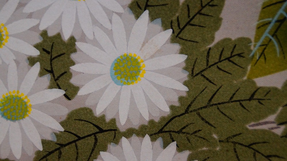Macro shot of white chrysanthemums with yellow-turquoise flower center