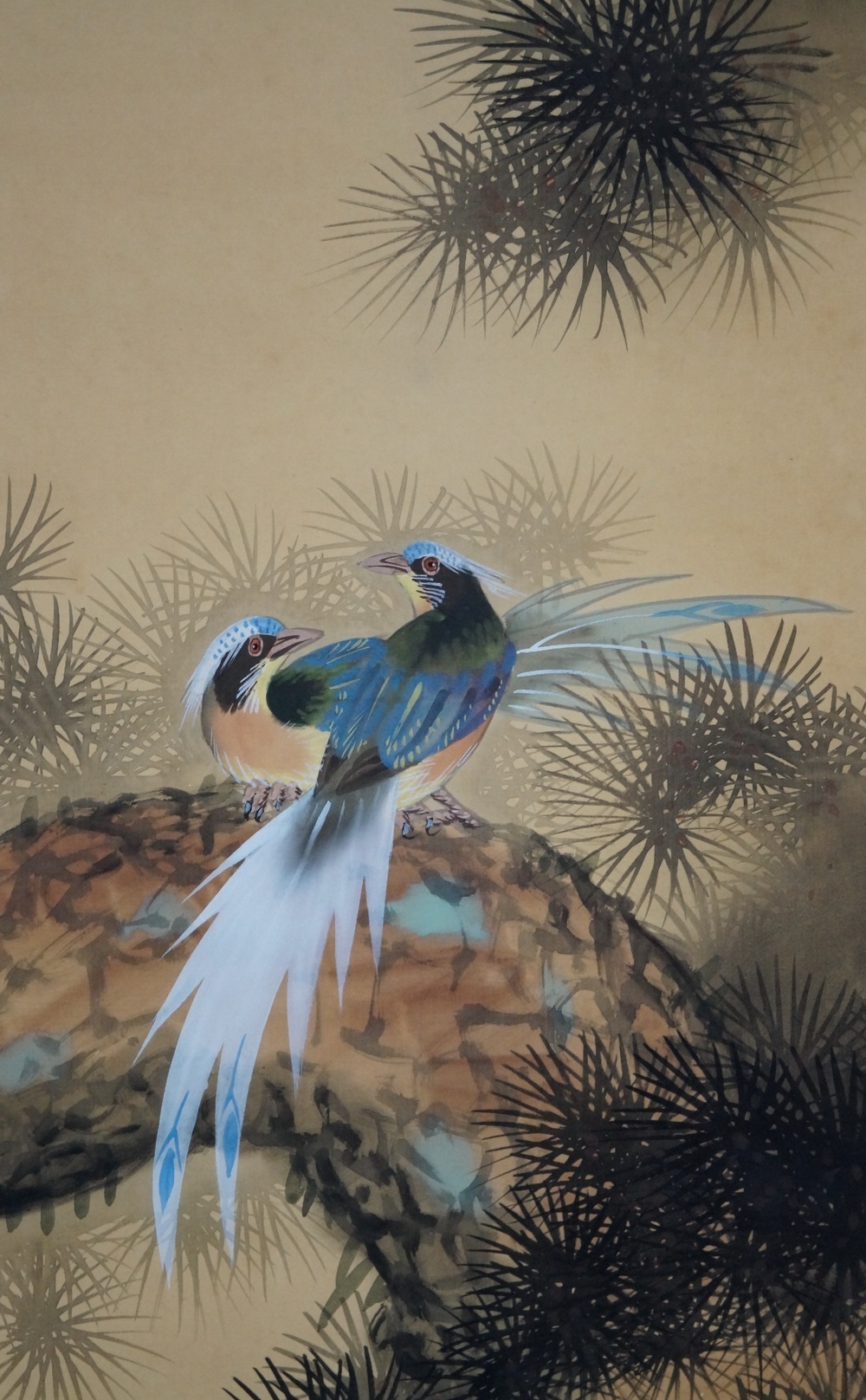 Vogel und Pfingstrose Rollbild Vogel-Motiv Nahaufnahme