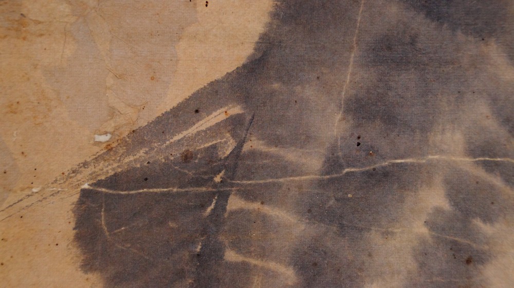 Close-up of the paper texture with fine ink lines of the water waves