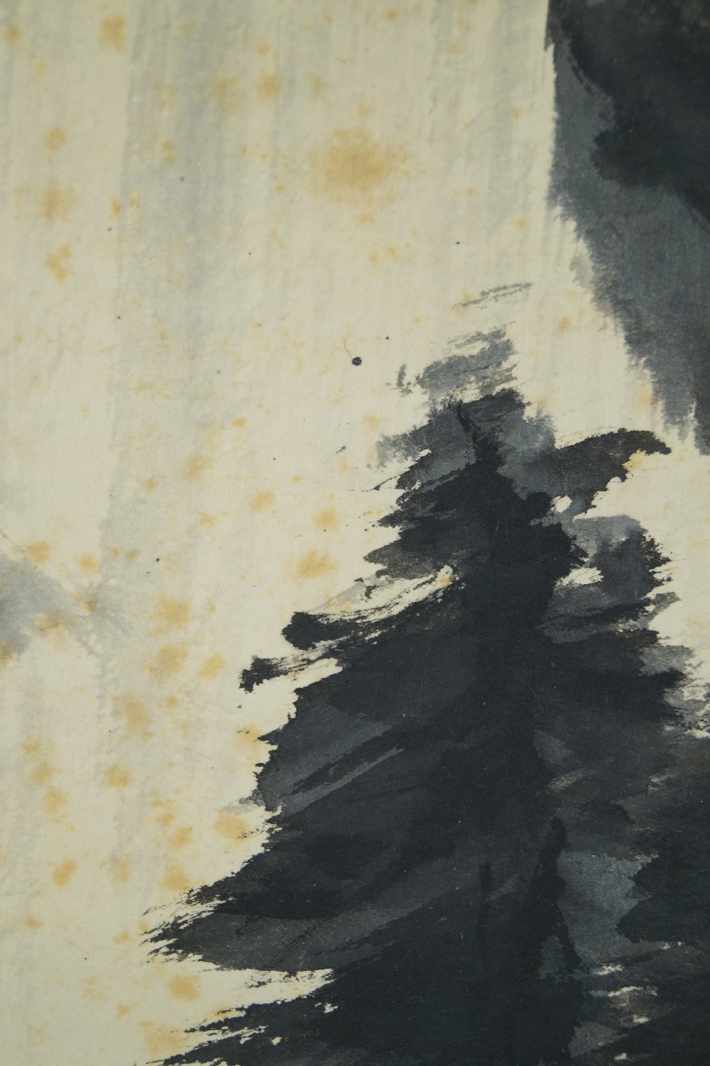 Wasserfall Rollbild Kiefer-Motiv Nahaufnahme 2