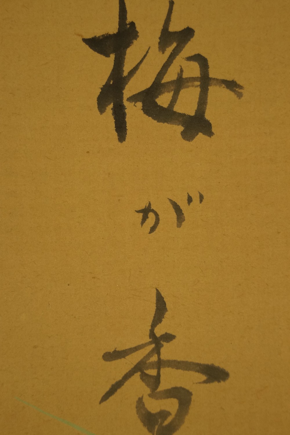 Branch Full of Sakura Blossoms Inscription Close-Up 1