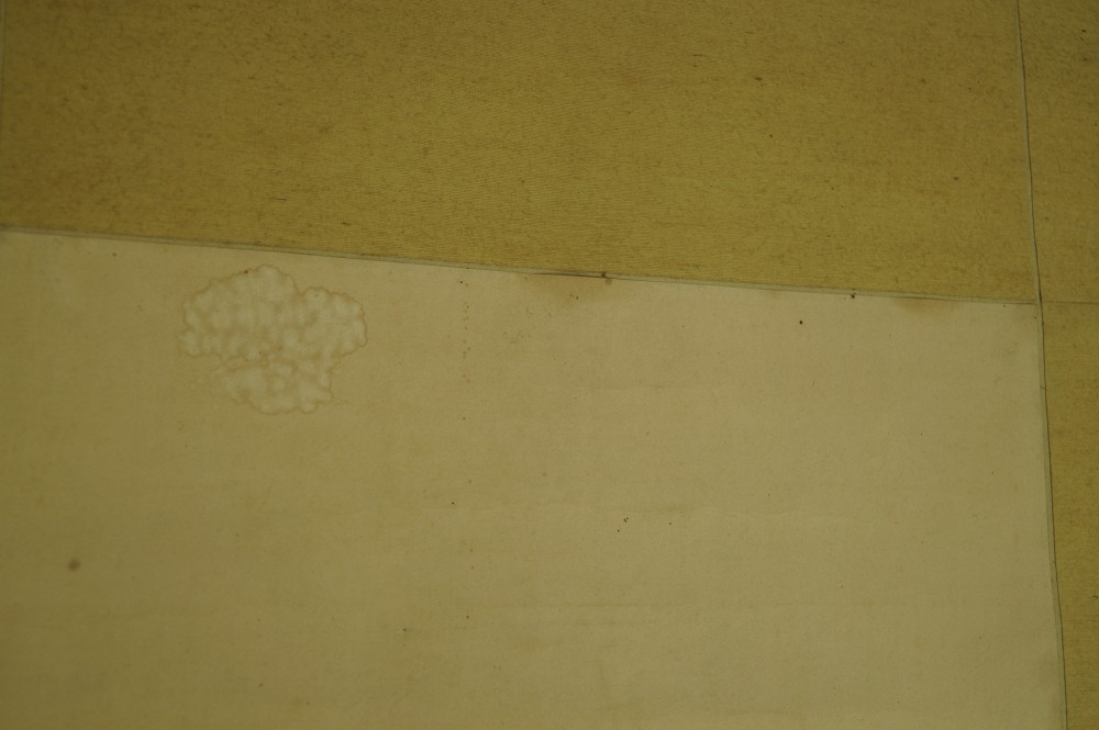 Grasses hanging scroll mounting detail