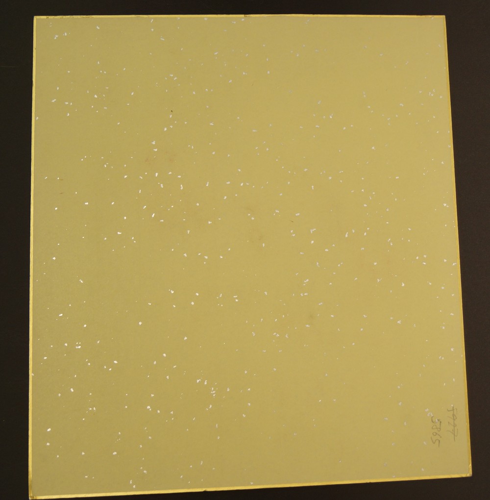 Shikishi Blume Rueckseite
