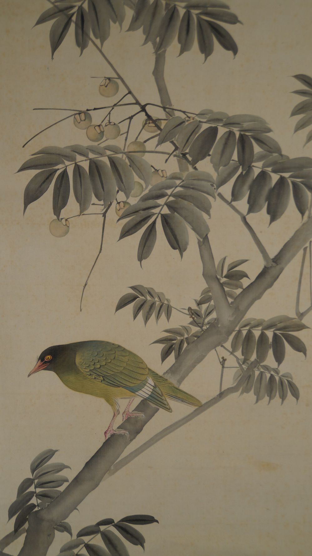 Another close-up of the bird with the hanging fruits of the fruit tree in the kakemono Bird on Fruit Tree
