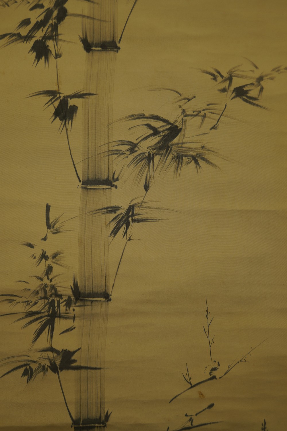 Bamboo Bamboo Motif Close-Up 4