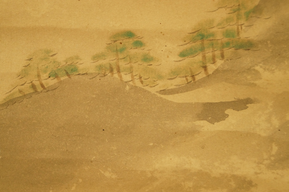 Kiefernbestandener Bergruecken Landschaft Nahaufnahme 4